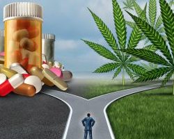 medicijnen of cannabis